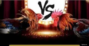 Cách Chơi Đá Gà GA28 Tại 23WIN Thắng Lớn Mỗi Ngày