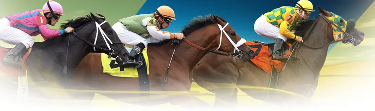 Bí Kíp Săn Thưởng Lớn Cá Cược Đua Ngựa 23WIN Dành Cho Tân Thủ 1 Bí Kíp Săn Thưởng Lớn Cá Cược Đua Ngựa 23WIN Dành Cho Tân Thủ